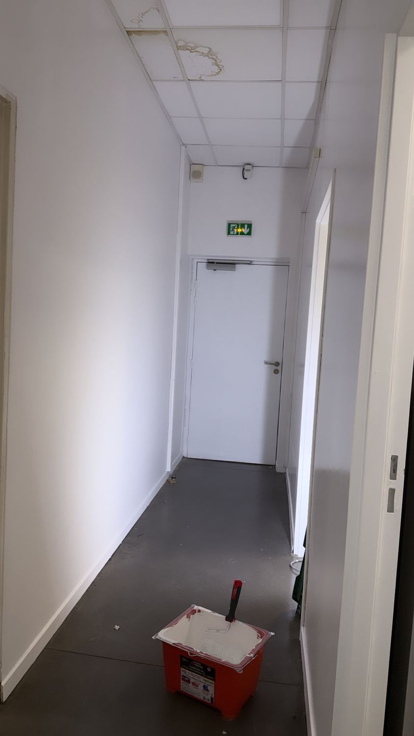 Chantier PAINT LIFE, photo 15